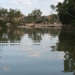 album_photos_xlarge_10