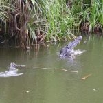 album_photos_xlarge_26