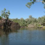 album_photos_xlarge_9